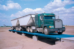 芭乐视频APP下载汅网站进入价格